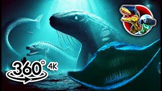 360 Giant Sea Monsters Size Comparison | 360 video 4K