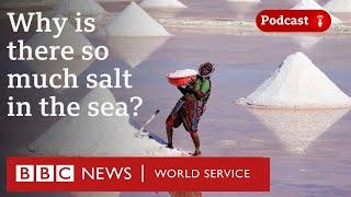 Why are the seas salty? - CrowdScience podcast, BBC World Service