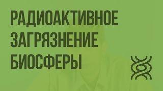 Радиоактивное загрязнение биосферы. Видеоурок по биологии 11 класс