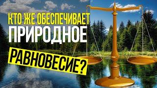 Поразительная гармония в природе!