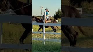 #horse #flash #equestrian my lesson today with flash