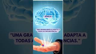 Sabedoria Diária | Pensadores #shorts #reflexões #proverbios #sucesso #saudemental #saude #saúde