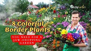 Top 8 Colorful Border Plants You Need for a Jaw Dropping Garden  // Gardening Ideas