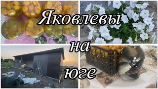593ч13.06.25-Установил дверь//Закатала огурцы и компот из абрикосов//День очень длинный 