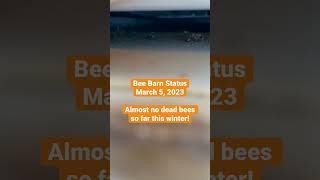 This is the Way. #honeybees #beebarn #beekeeper #beekeeping #beehive #bees #apiary @vinofarm