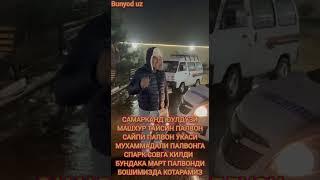 САМАРКАНД ЮУЛДУЗИ МАШХУР ТАЙСИН ПАЛВОН САЙПИ ПАЛВОН УКАСИ МУХАММАДАЛИ ПАЛВОНГА СПАРК СОВГА КИЛДИ