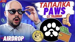 Заработай в PAWS. Новая тапалка от телеграм и Notcoin! часть 2