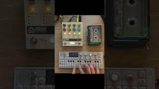 casiotone with tape, then onto the op1 