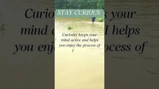 Stay curious.  Learn more. Flooded water. #inspirationalspeeach