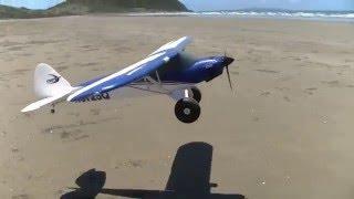 Horizon Hobby Carbon-Z Cub | RC Skunk Works ADP