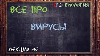 Л.45 | ВИРУСЫ – НЕКЛЕТОЧНАЯ ФОРМА ЖИЗНИ | ОБЩАЯ БИОЛОГИЯ ЕГЭ