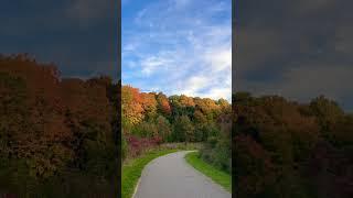 Rainbow tunnel in Toronto #rainbowtunnel #beautifultrail #trail