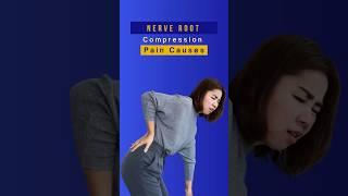 Why Nerve Root Compression Pain is So Unbearable