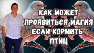 Переживите финансовые трудности с магией птичьего кормления: тайны и практика Андрея Дуйко