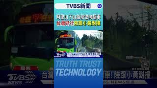 阿里山下山路段逆向超車 「台灣好行」險跟小黃對撞｜TVBS新聞網 @tvbsnews24live