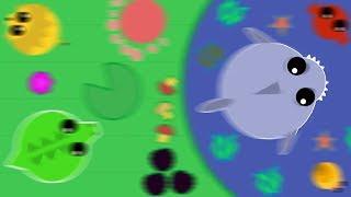 MOPE.IO PERKY CROCODILE AND A SHARK WITH ACCELERATION ARE LOOKING FOR ADVENTURE MOPE IO