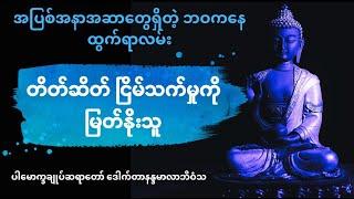 ဘဝရဲ့ လွတ်မြောက်ရာလမ်း | တိတ်ဆိတ် ငြိမ်သက်မှုကို မြတ်နိုးသူ တရားတော် | ပါချုပ်ဆရာတော် ဘုရား