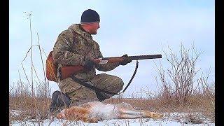 Охота на зайца. Выпал первый снег. Зайца много в этом сезоне.