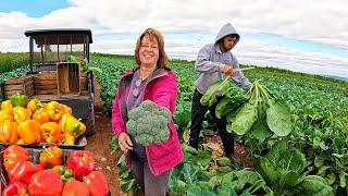 The New Harvest Has Started