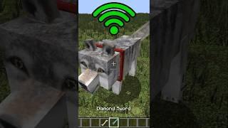 dog with different Wi-Fi