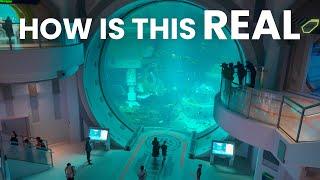 SeaWorld Abu Dhabi Review | Game Changing 1.2 BILLION Dollar Indoor Theme Park