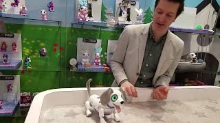 Toy Fair 2018 : Spin Master - Zoomer Playful Pup