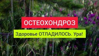 Как лечить ОСТЕОХОНДРОЗ. ЛЕЧЕНИЕ остеохондроза. Как Я ВЫЛЕЧИЛСЯ.