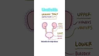 URETHRITIS | MEDICAL DEFINITION VOCABULARY TERMINOLOGY