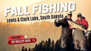 Fall Walleye Fishing on Lewis & Clark Lake, South Dakota