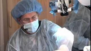 Creating the Ideal Prosthodontic Platform: Implants or Endodontics in the Esthetic Zone