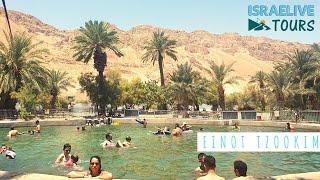 Tours in Israel - Einot Tzookim \ Ein Feshkha oasis - with guide Michael