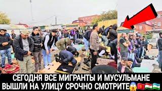 ВСЕ МИГРАНТЫ ВЫШЛИ НА УЛИЦУ СРОЧНО СМОТРИТЕ ТАДЖИКИ КЫРГЫЗЫ УЗБЕКИ 