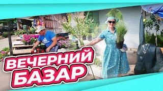 ВЛОГ | МЕЧТА С БАЗАРА | СЮРПРИЗ В МАГАЗИНЕ | АТАКА ГУСЕНИЦ