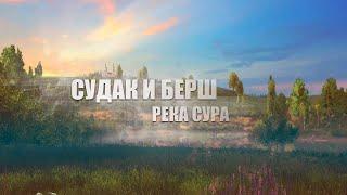 Русская Рыбалка 4 ► Russian Fishing 4 ► Берш и Судак на Суре!