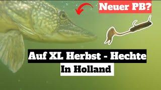 Auf XL Hechte in Holland [ Herbstzeit heißt Hechtzeit]