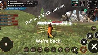 It’s back! The Wolf PvP in a 375k server!