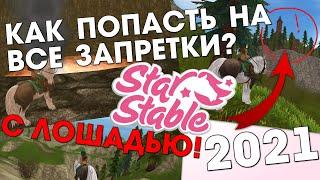 2021 БАГ И ГАЙД НА ЗАПРЕТКИ С ЛОШАДЬЮ (РАБОТАЕТ) - Star Stable