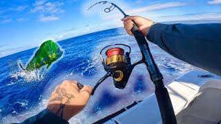 HUGE Dorado from a HAWAII charter boat! (Entire catch bite to gaff)