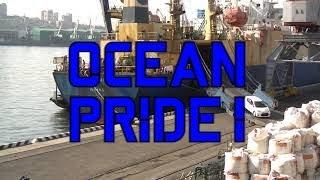 Выгрузка японских машин с судна OCEAN PRIDE I  29.04.2021 года