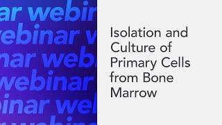 Isolation and Culture of Primary Cells from Bone Marrow