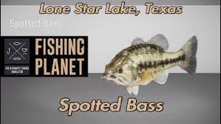 Spotted Bass Lone Star Lake Texas Fishing Planet Guide