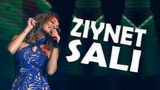 Ziynet Sali - daf BAMA MUSIC AWARDS 2016