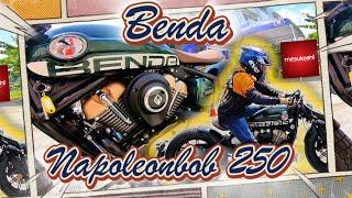 Benda Napoleonbob 250