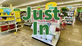 Dollar Tree 2025 | NEW Finds This Week