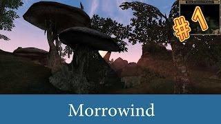 Morrowind {Chaos Heart}. Прохождение, Часть 1. Прибытие. Поход в Балмору.