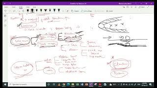 SEDIMENTARY Previous year Q&A and Numerical class video-7: BRAHMASTRA