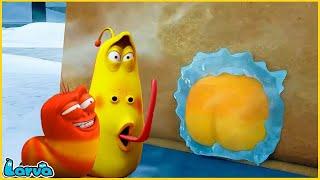 LARVA | TEASER | CARTOON MOVIE FOR LIFE |THE BEST OF CARTOON | HILARIOUS CARTOON COMPILATION