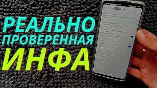 ВКЛЮЧИТЕ ЭТУ НАСТРОЙКУ ПОКА ЕЩЕ НЕ ПОЗДНО | УСКОРЕНИЯ ИНТЕРНЕТА!