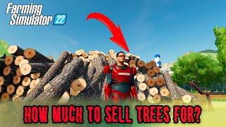 How to cut pine trees to earn maximum money|  beginners guide FS 22