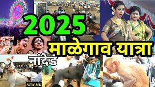 malegaon yatra 2025 date | malegaon yatra 2024 date | मालेगांव यात्रा 2025 | माळेगावं यात्रा लावणी